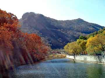 澳门二四六天天彩图库，茹绮铃